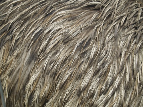 Image brown and black fur textile