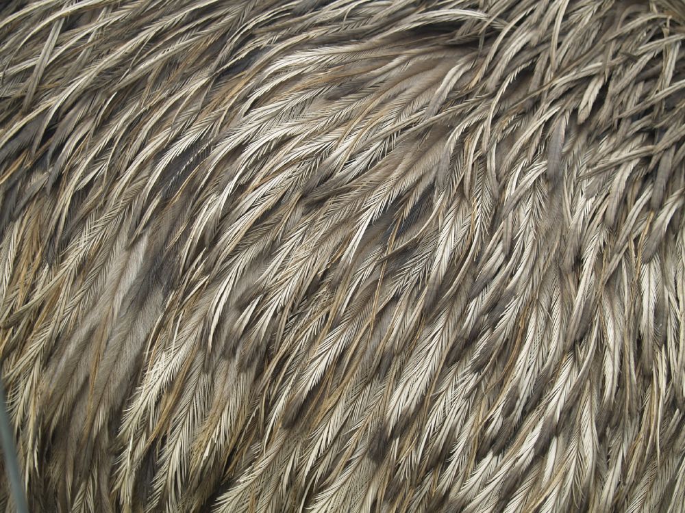 brown and black fur textile