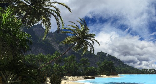 Image green coconut trees near body of water during daytime