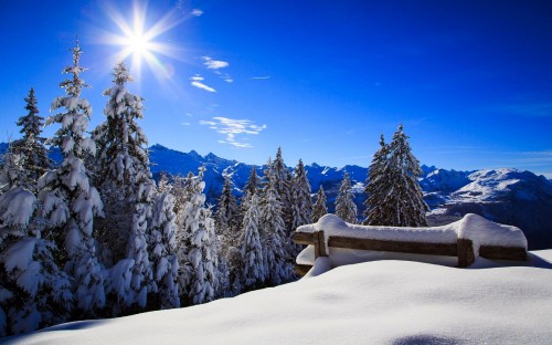 Image snow covered trees and mountains during daytime