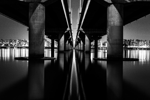 Image grayscale photo of bridge over water