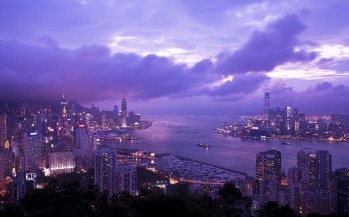 Image city skyline near body of water during night time