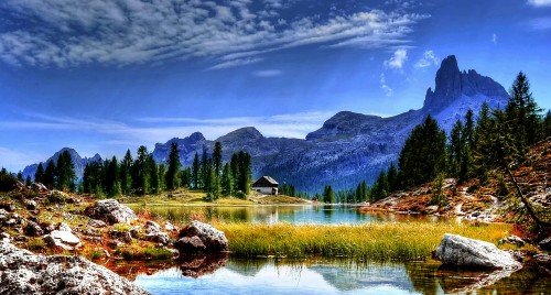 Image green trees near lake under blue sky during daytime