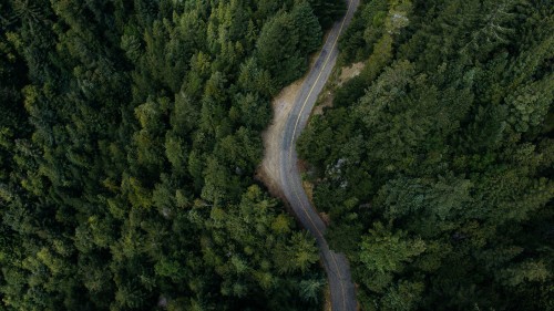 Image aerial view of road in the middle of green trees