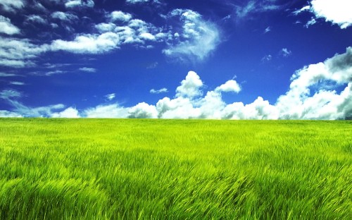 Image green grass field under blue sky and white clouds during daytime