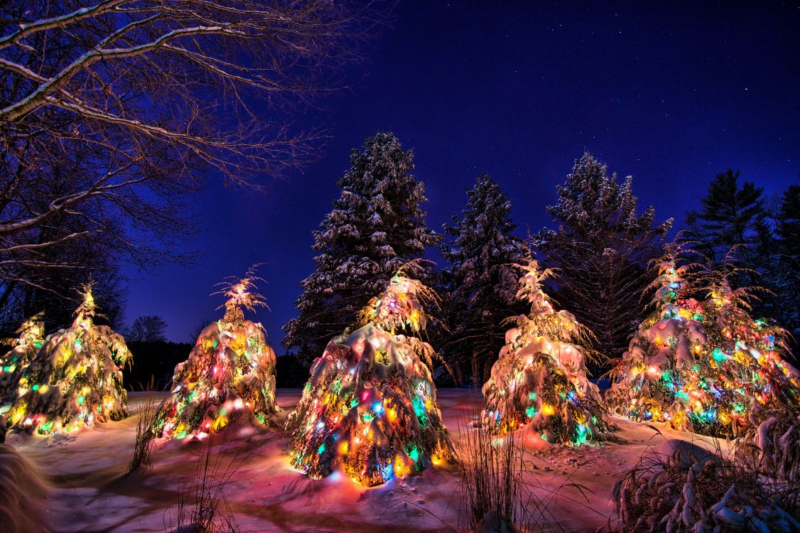 snow, garland, winter, night, new year