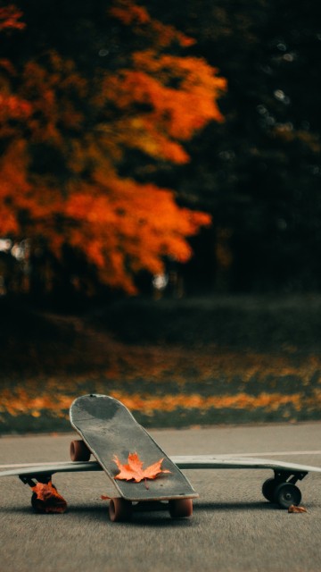 Wallpaper of Skateboard 74 pictures