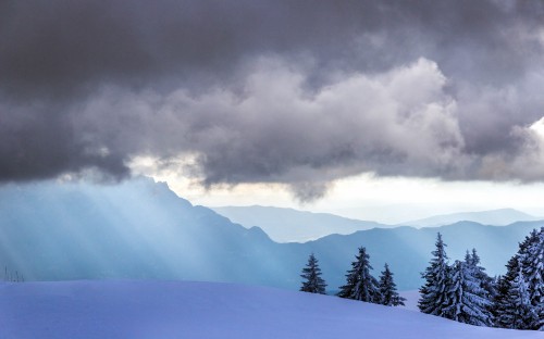 Image green trees on snow covered ground under cloudy sky during daytime