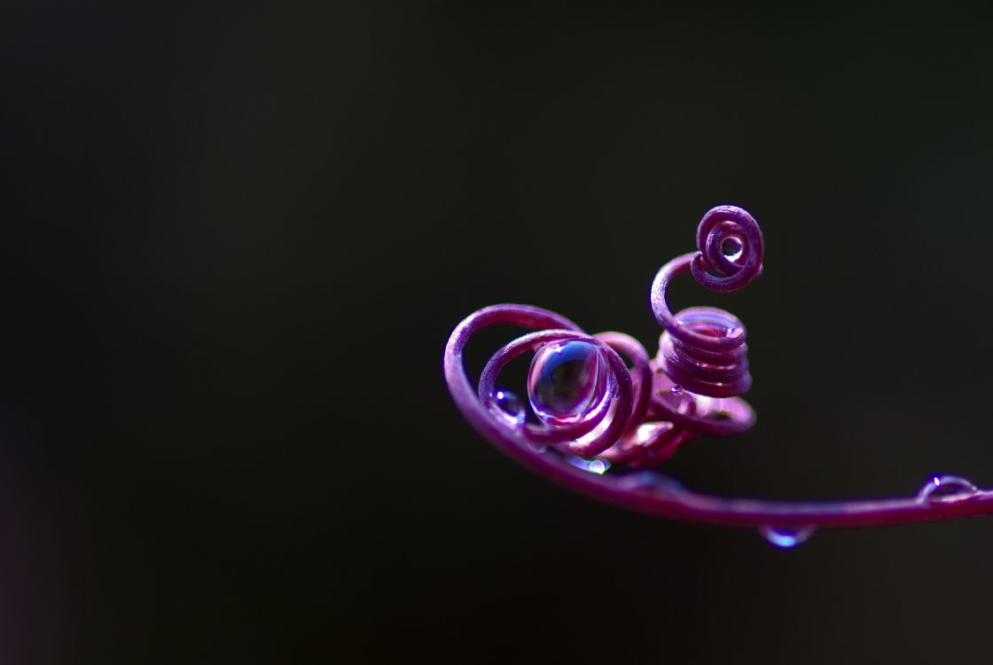 Pink, Purple, Violette, Eau, Magenta. Wallpaper in 3872x2592 Resolution