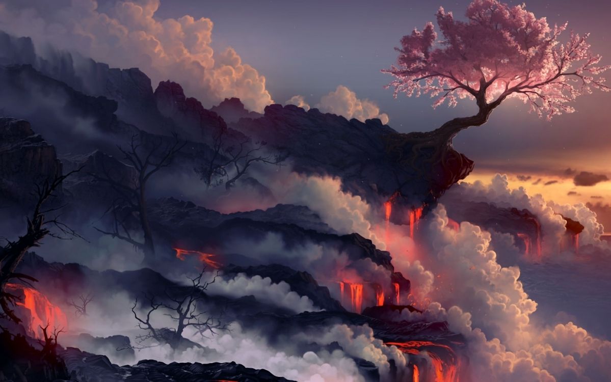 Nuages Noirs et Blancs Au-dessus Des Arbres. Wallpaper in 3110x1944 Resolution