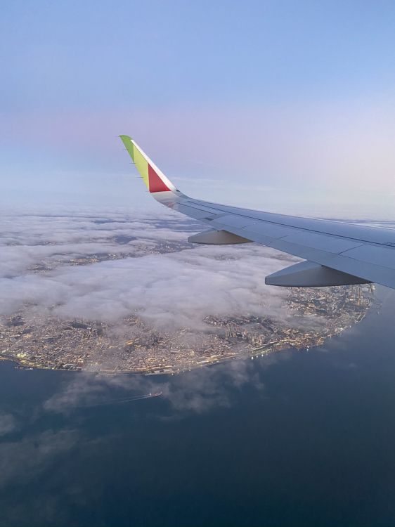 Air Voyage, Gros-porteurs, Avion, Airbus, Les Avions à Fuselage Étroit. Wallpaper in 1536x2048 Resolution