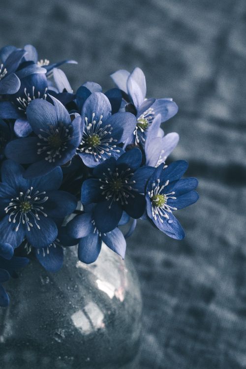 purple flowers in tilt shift lens