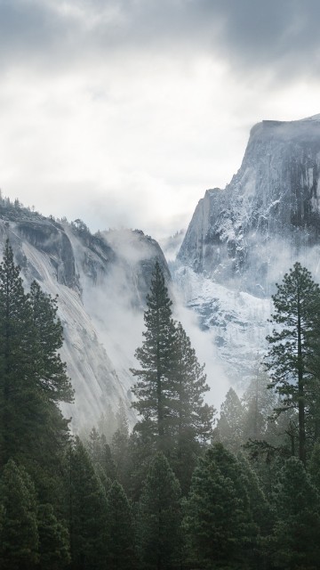 Image green pine trees near snow covered mountain under white clouds during daytime