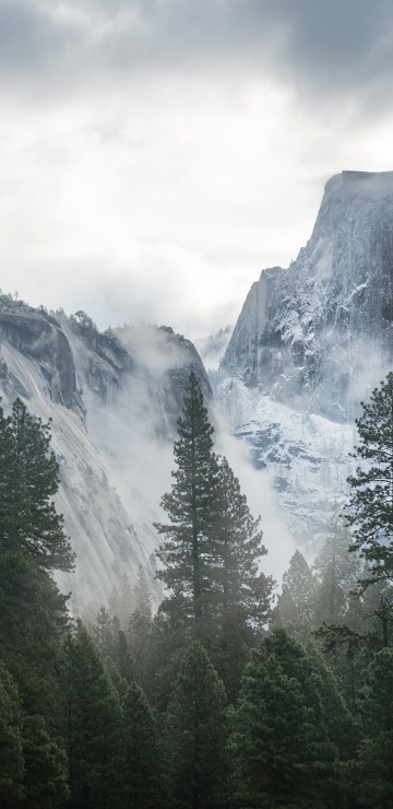 Image green pine trees near snow covered mountain under white clouds during daytime