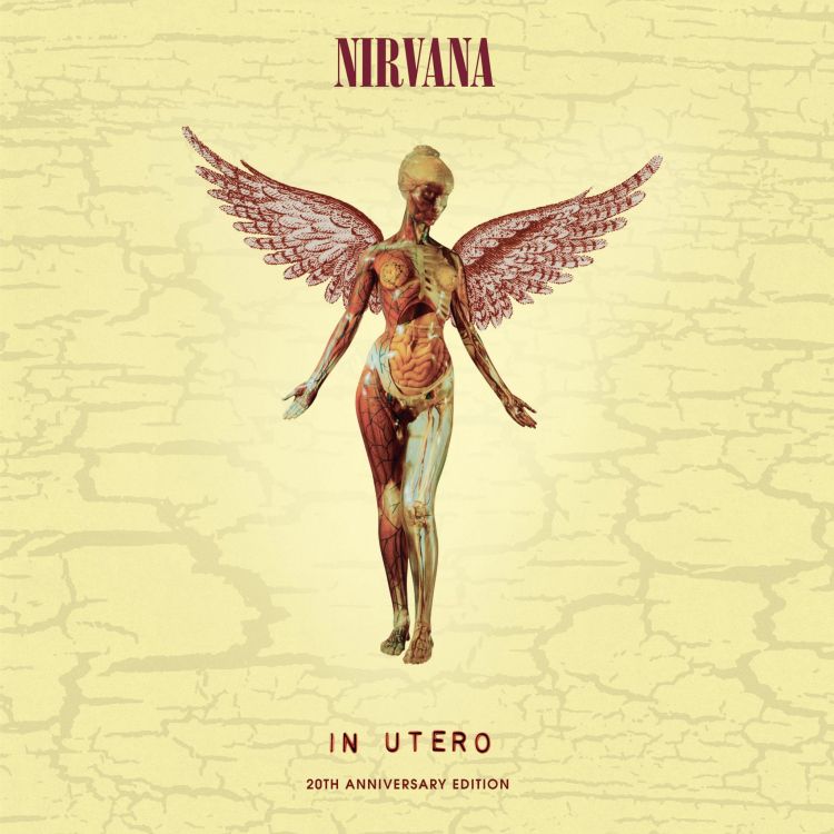 Nirvana, Album, Reedición, Disco Fonográfico, Ilustración. Wallpaper in 2048x2048 Resolution