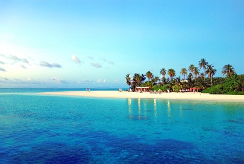 Image green trees on island surrounded by blue sea water during daytime