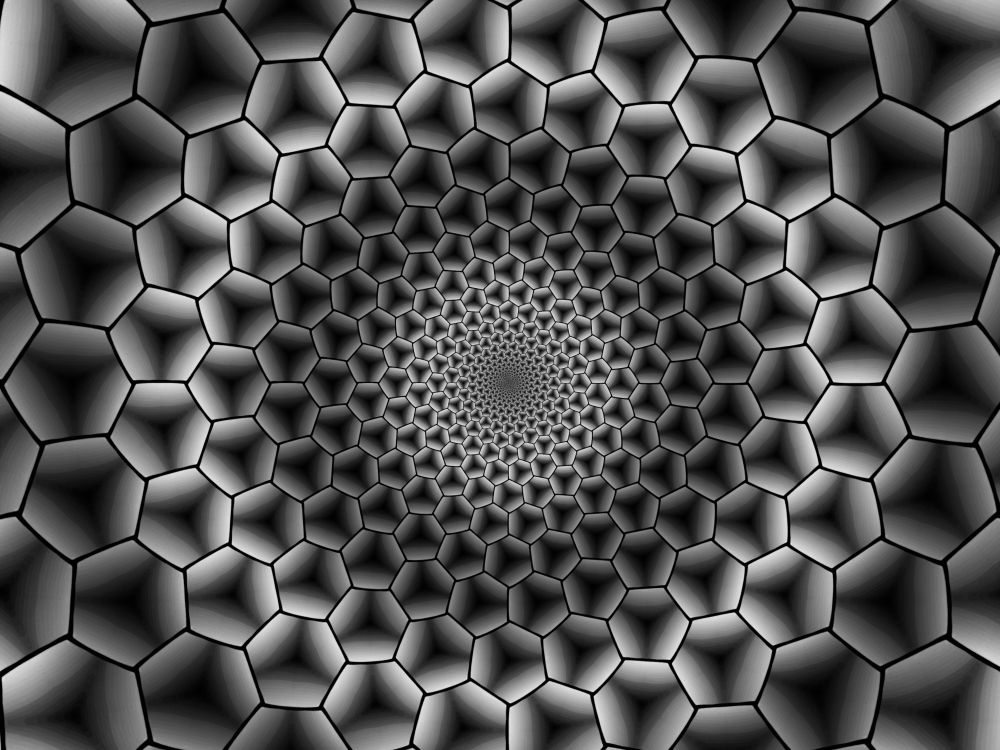 white and black round illustration