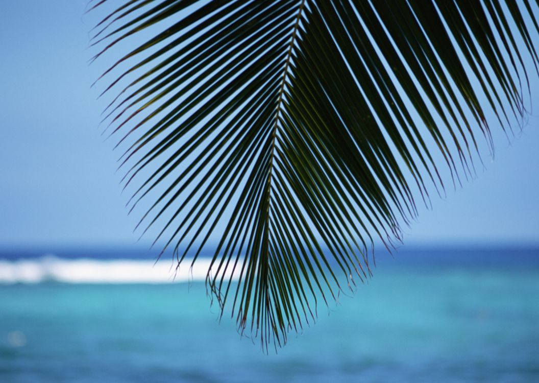 大海, 热带地区, 天空, 冷静, 海报 壁纸 2950x2094 允许