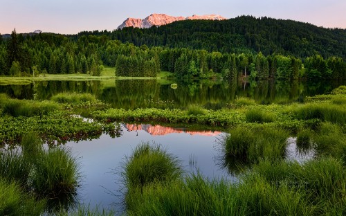 Image green grass near lake and mountain during daytime