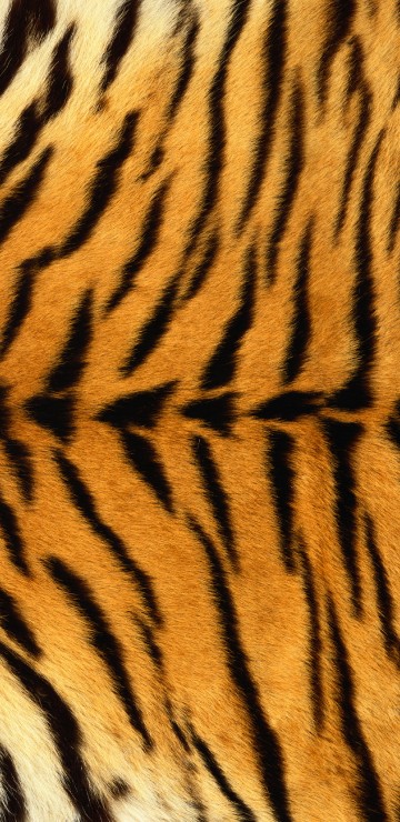 Image brown and black tiger textile