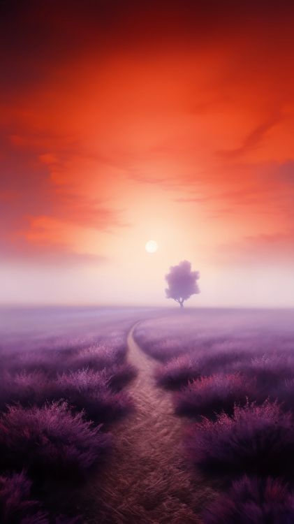 Cloud, Atmosphäre, Ökoregion, Naturlandschaft, Afterglow. Wallpaper in 2048x3642 Resolution