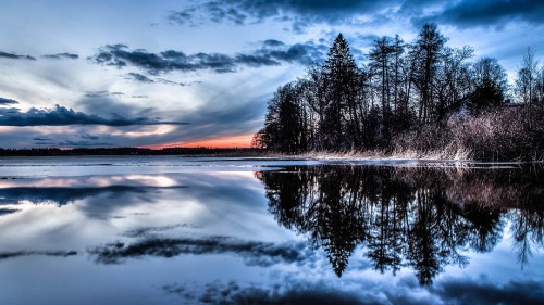 Image green trees beside body of water under blue sky