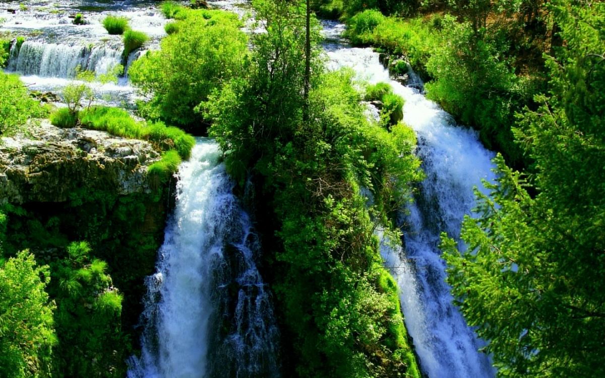 green grass and trees near river during daytime