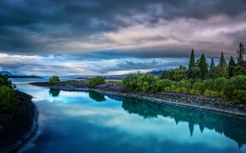 Image green trees near body of water under cloudy sky during daytime