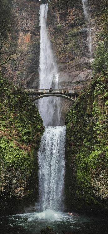 Multnomah Falls, Cascade, Cours D'eau, Nature, Eau. Wallpaper in 1080x2340 Resolution