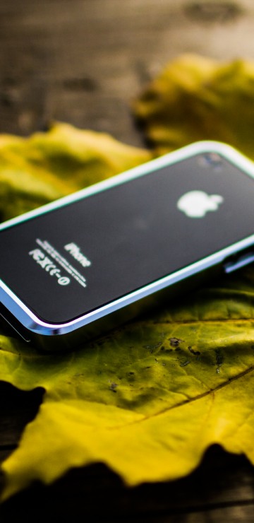 Image black iphone 5 on yellow maple leaf