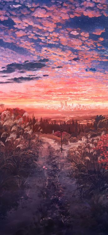 Anime, Kunst, Illustration, Theatralische Landschaft, Cloud. Wallpaper in 1080x2340 Resolution