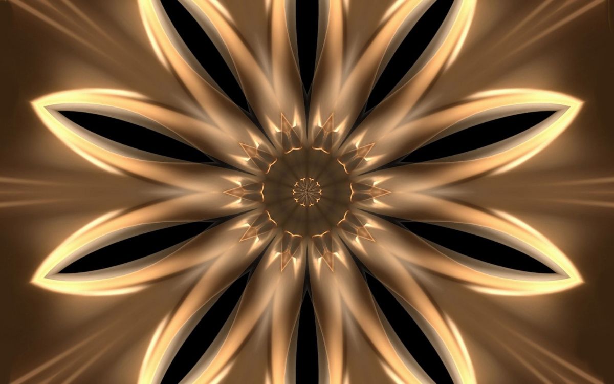 Weiße Und Schwarze Blumenillustration. Wallpaper in 1920x1200 Resolution