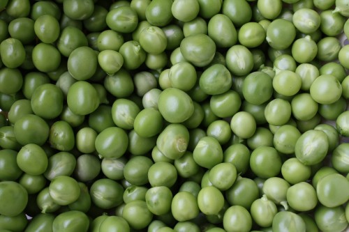 Image green round fruits in close up photography