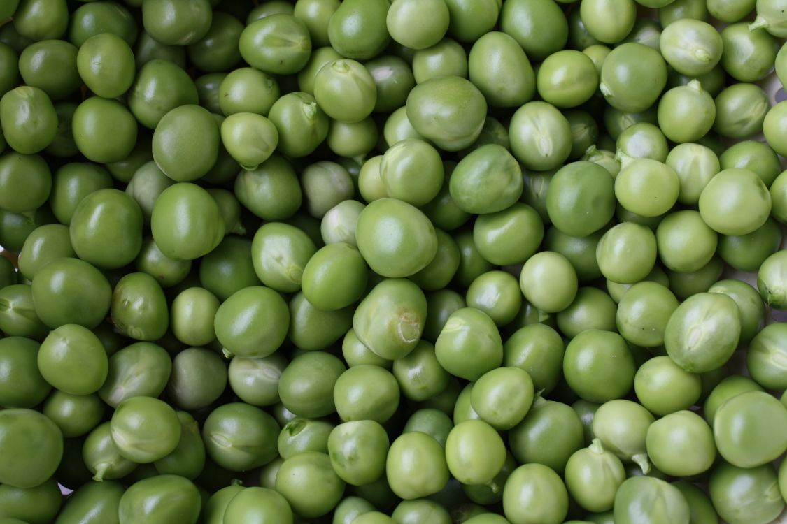 green round fruits in close up photography