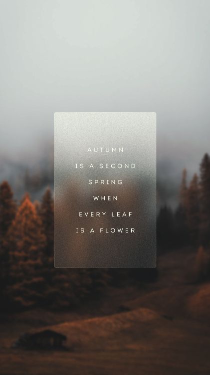 早上, 气氛, 自然景观, 海报, 木 壁纸 4320x7680 允许