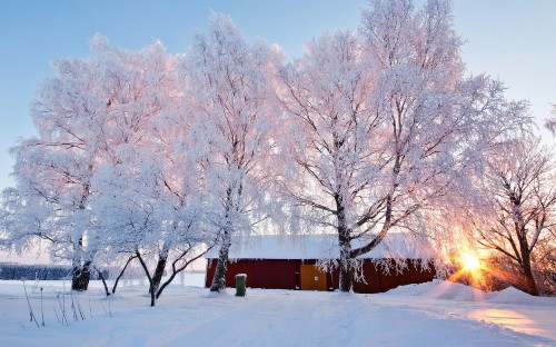 Image brown wooden house near trees covered with snow during daytime