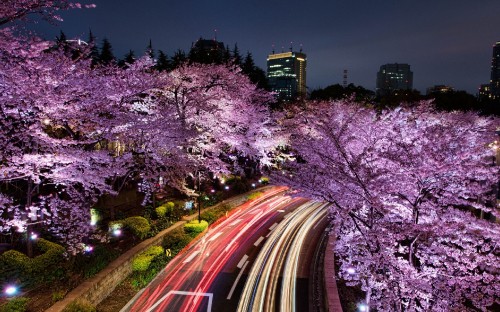 Image time lapse photography of cars on road during night time