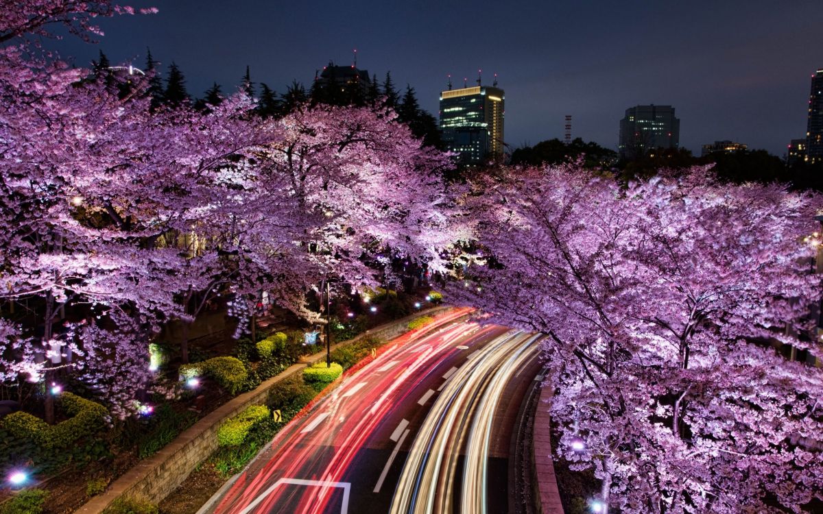 time lapse photography of cars on road during night time