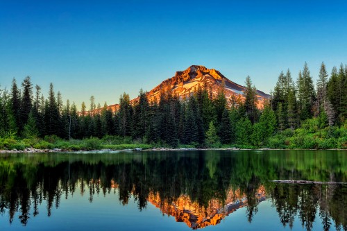 Image green pine trees near lake and mountain under blue sky during daytime