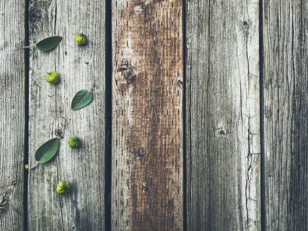Green Leaves on Brown Wooden Plank. Wallpaper in 4000x3000 Resolution