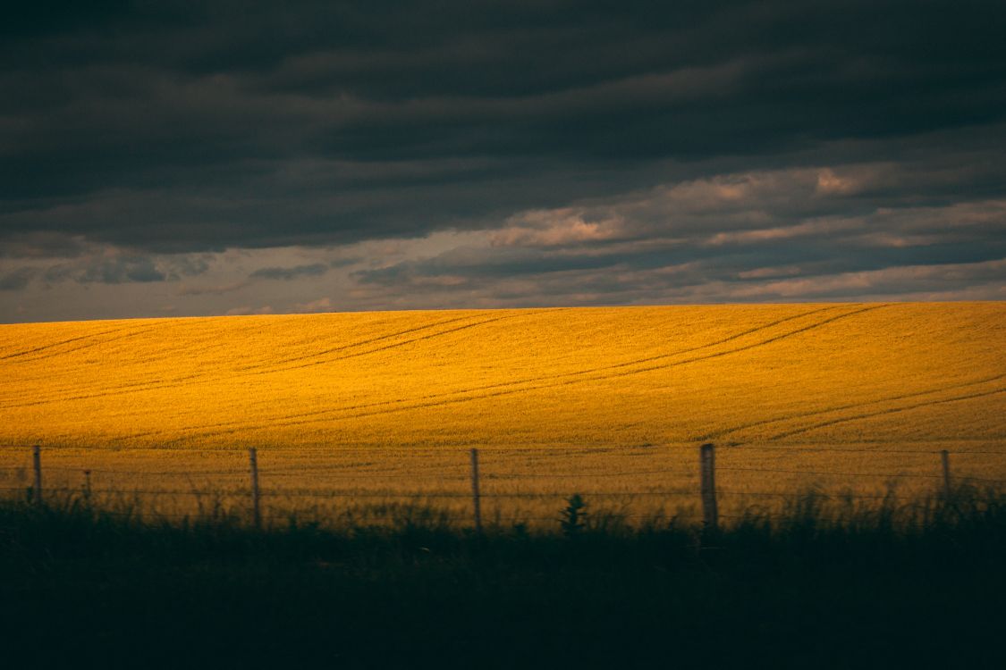 L'écorégion, Ciel, Champ, Jaune, Zone Rurale. Wallpaper in 5139x3426 Resolution
