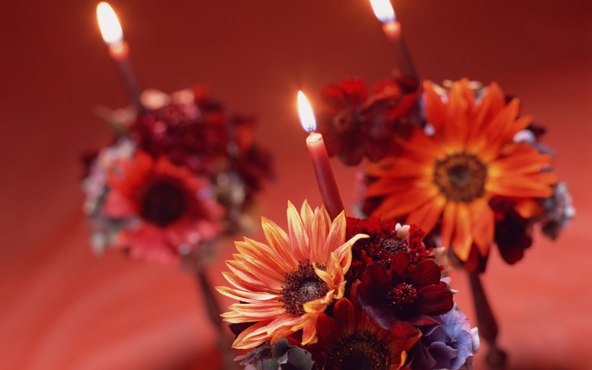 Bougie, Pétale, Orange, Fleurs Artificielles, L'arrangement Des Fleurs. Wallpaper in 2560x1600 Resolution