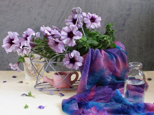 Image white and purple flowers in white ceramic vase