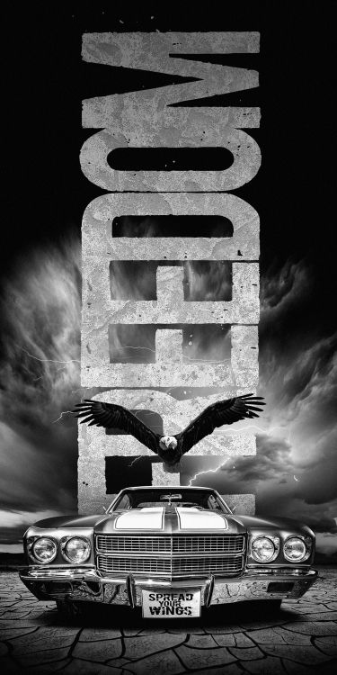 ne le Tord Pas, Nickelback, Apple Musique, L'éclairage Automobile, White. Wallpaper in 1080x2160 Resolution