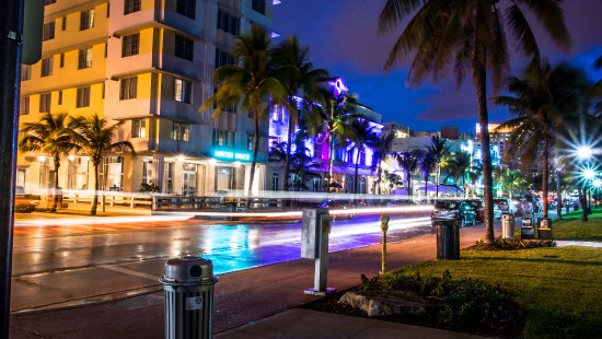 Image green palm trees near body of water during night time