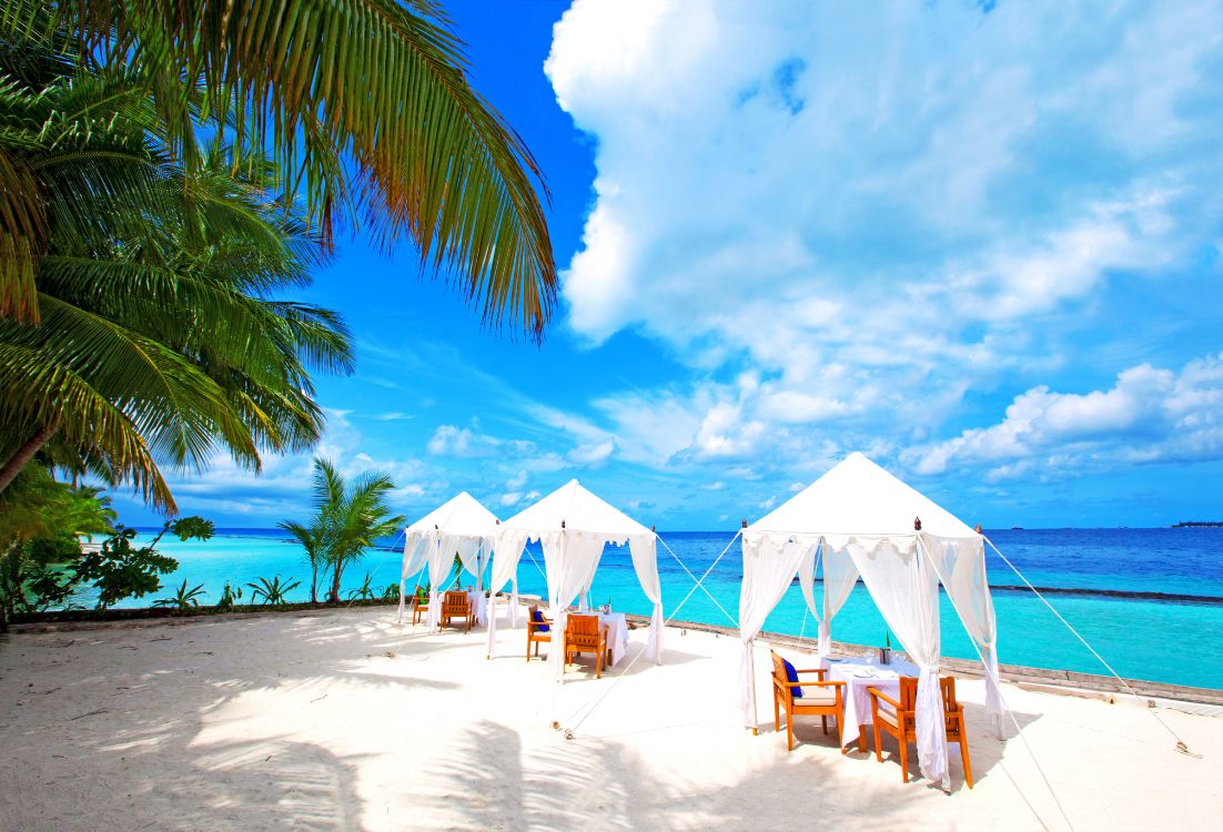 Parasols Blancs et Marrons Sur la Plage Pendant la Journée. Wallpaper in 5709x3882 Resolution