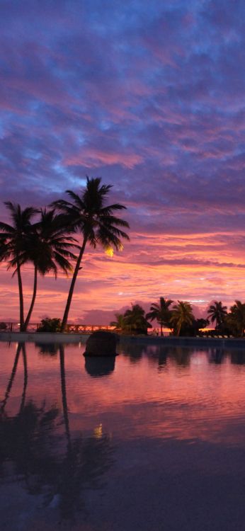 Eau, Afterglow, Orange, Paysage Naturel. Wallpaper in 1080x2340 Resolution