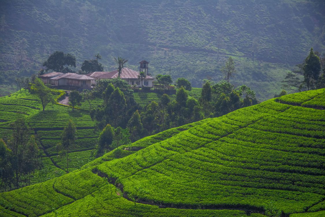 Campo de Hierba Verde Durante el Día. Wallpaper in 4500x3000 Resolution