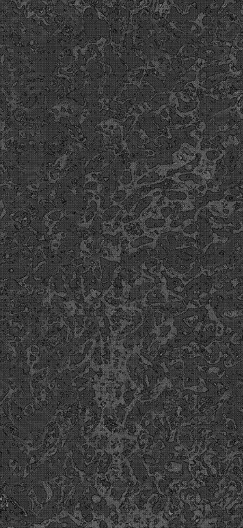 黑色和白色的, 沥青, 矩形, 混凝土, 的土壤 壁纸 1080x2340 允许