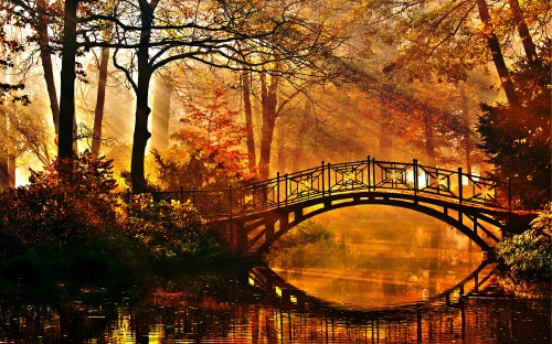 Image brown wooden bridge over river